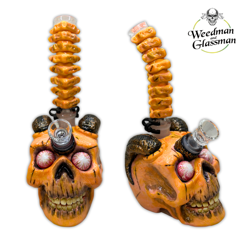 Ceramic & Glass Water Pipe | Skull Collection