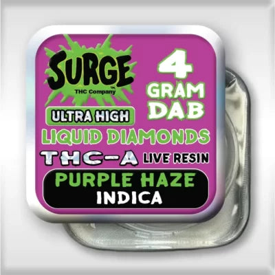 Surge 4g Dab